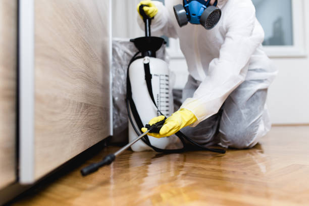 Best Pest Control Cost  in Hephzibah, GA