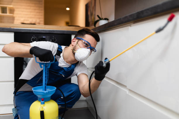 Best Pest Control Near Me  in Hephzibah, GA