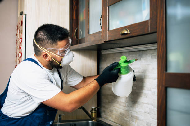 Best Mosquito Control Services  in Hephzibah, GA