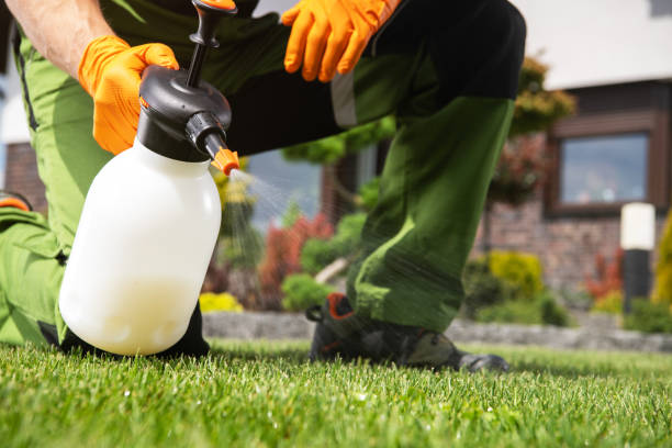Trusted Hephzibah, GA Pest Control Experts