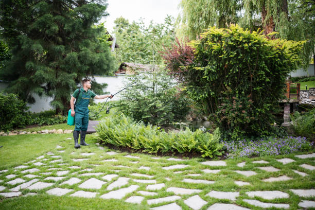 Best Commercial Pest Control Services  in Hephzibah, GA