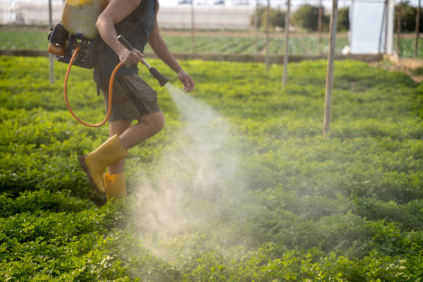 Best Best Pest Control Near Me  in Hephzibah, GA
