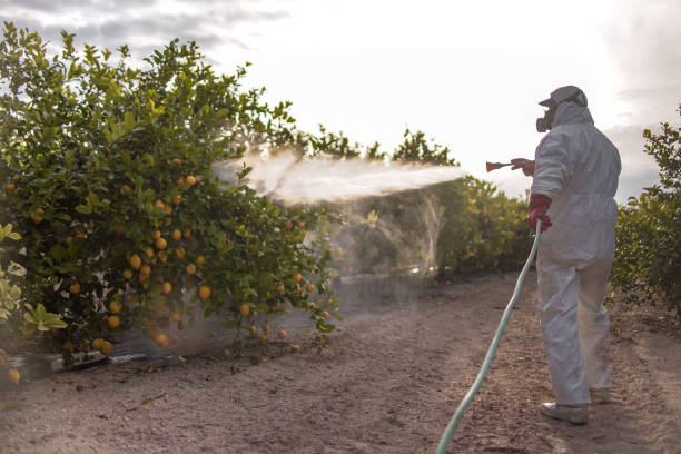 Best Pest Prevention Services  in Hephzibah, GA