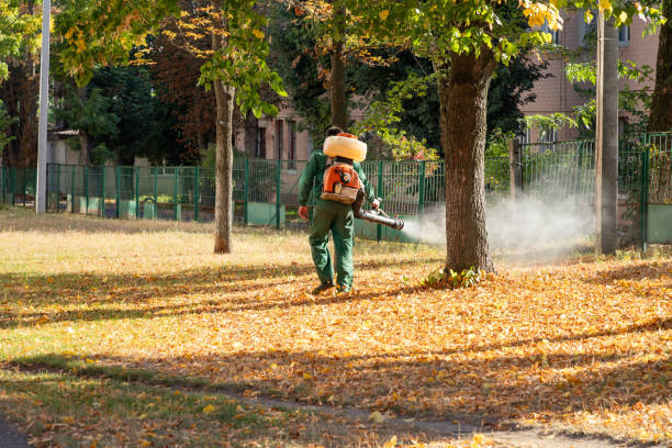 Best Rat Extermination Near Me  in Hephzibah, GA