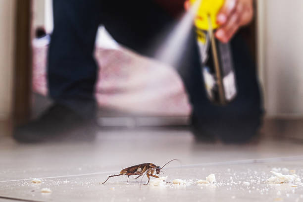 Pest Prevention Services in Hephzibah, GA
